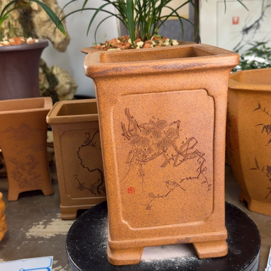 踩***音紫砂花盆紫砂花盆