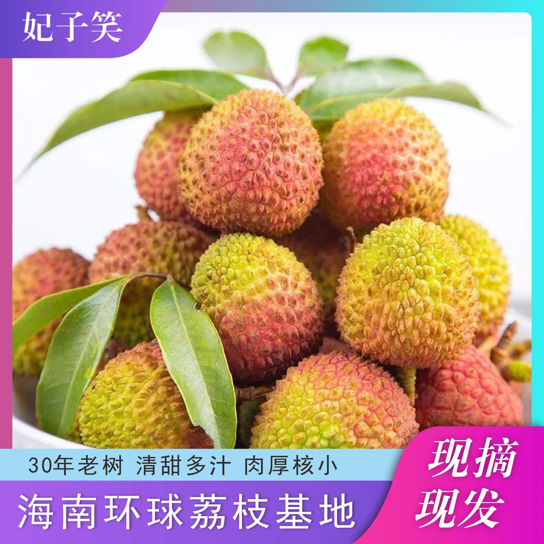 正宗广东妃子笑荔枝品质果新鲜荔枝现采现摘小核清甜应季水果荔枝