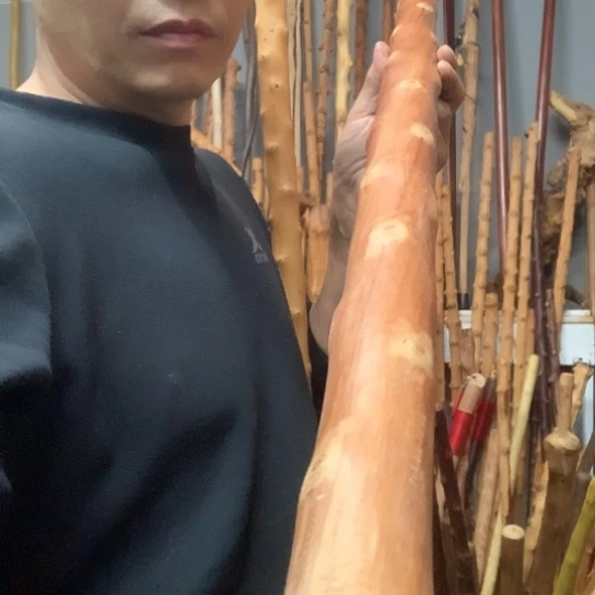 四***罡红荀子长140厘米粗4.0