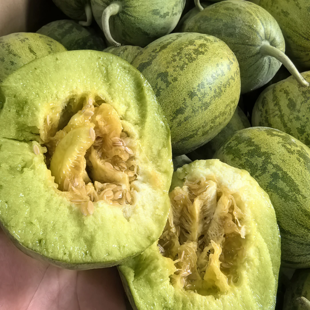 【六妈推荐】甜蒙圈香瓜 香甜蜜瓜新鲜水果1件3斤起辽宁发货