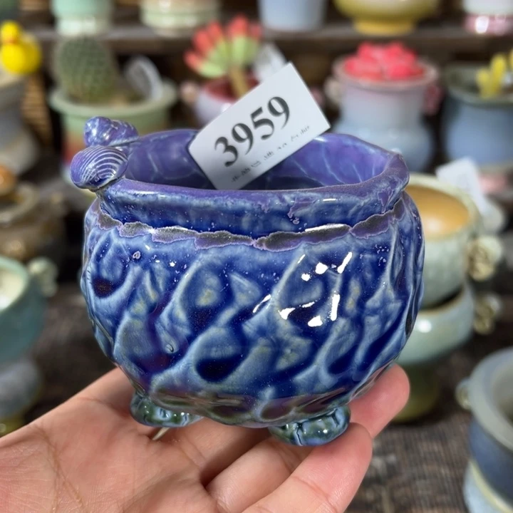 口6 未满30运费到付