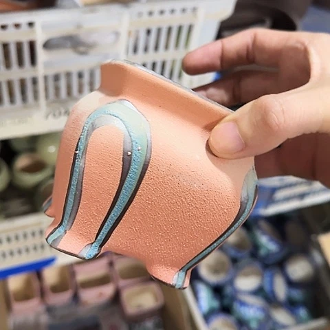 ····全是福利·····7042