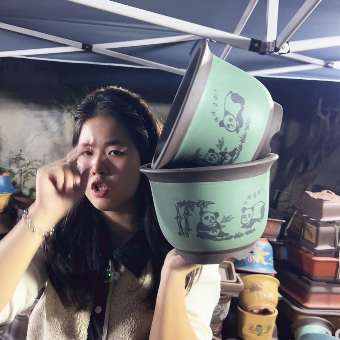 25+25绿色熊猫平角金钟