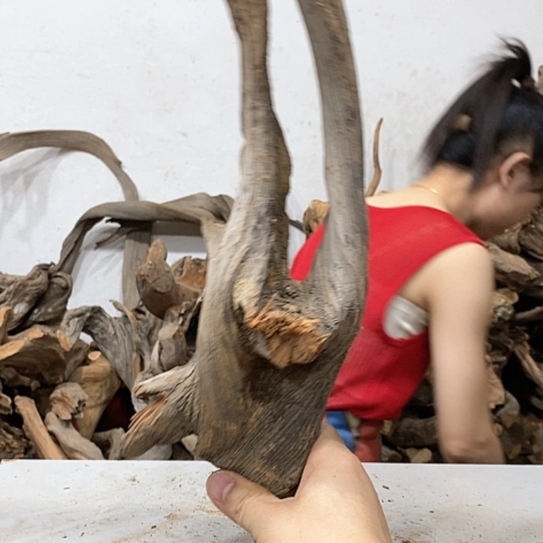 【闪购商品】柏木你*我们都是好孩子呀