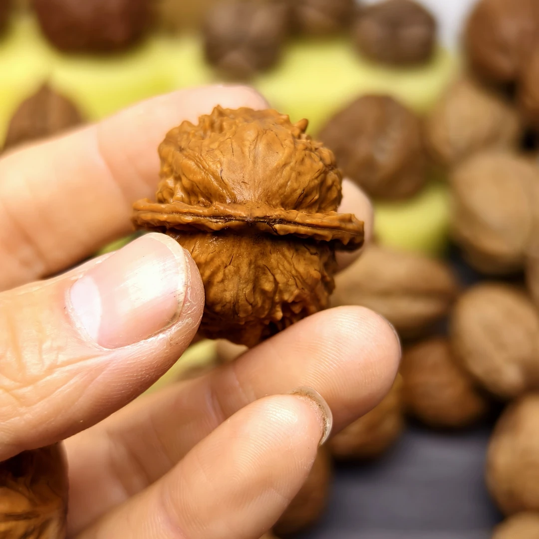 金蟾蛤蟆头，骨质好，安徽野生山核桃原皮原色精品收藏级！