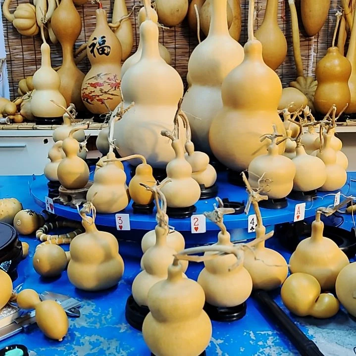 L***G他他他他他他他他他他他他他他