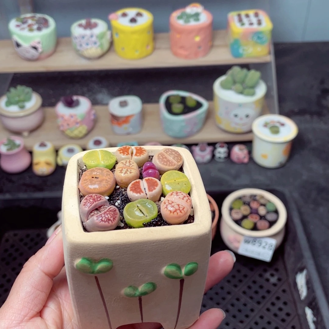 w8911 带盆土发货-零下地区拍保温箱