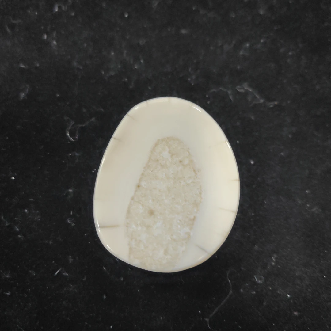 猛犸猛犸虬饼子WT531