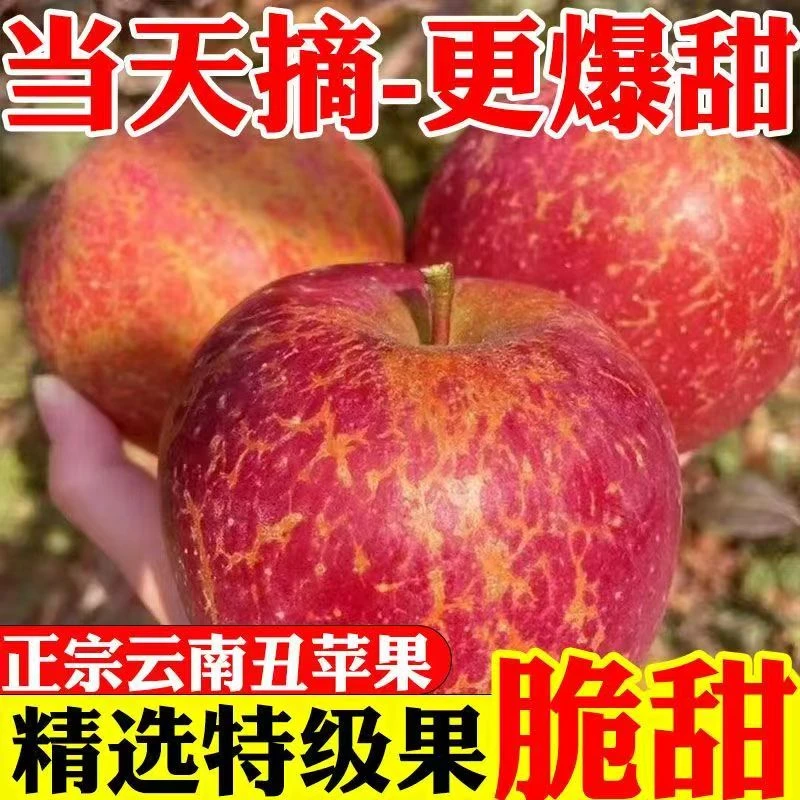 云南昭通冰糖心丑苹果新鲜现摘脆甜多汁当季水果双规格达人专属