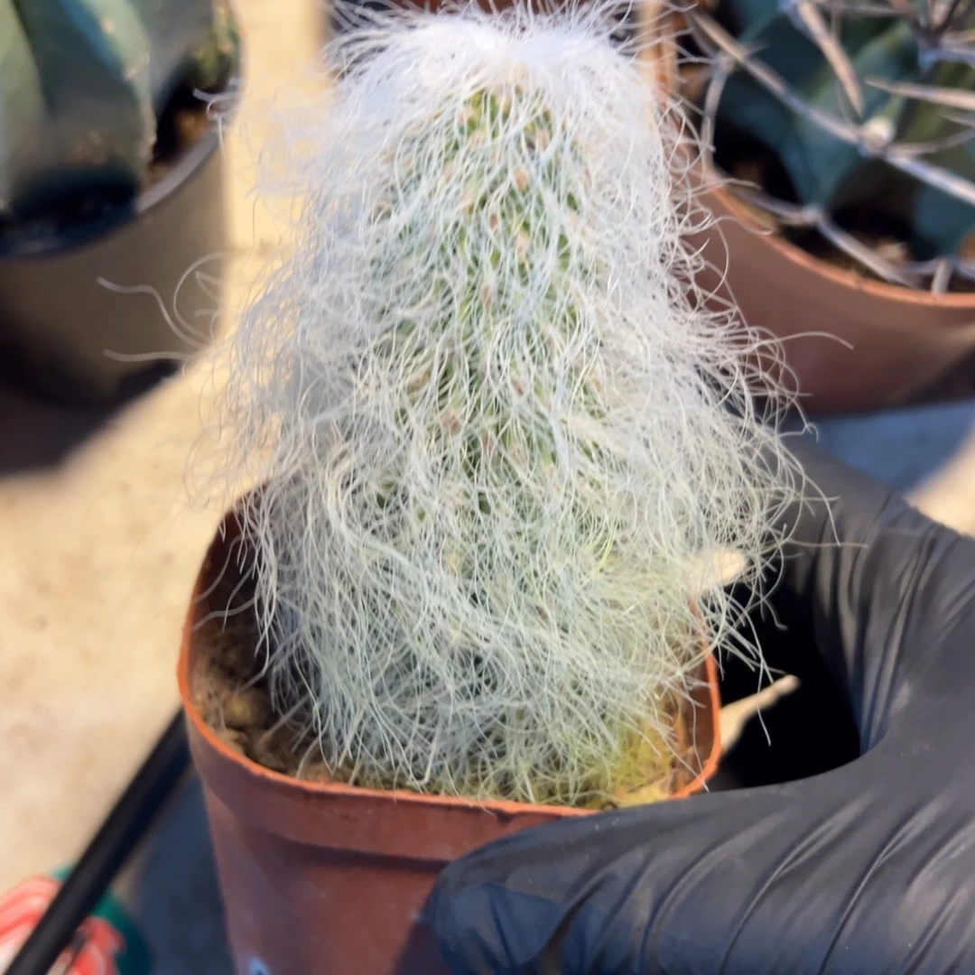 @***花哈哈哈哈哈哈哈哈哈哈哈哈