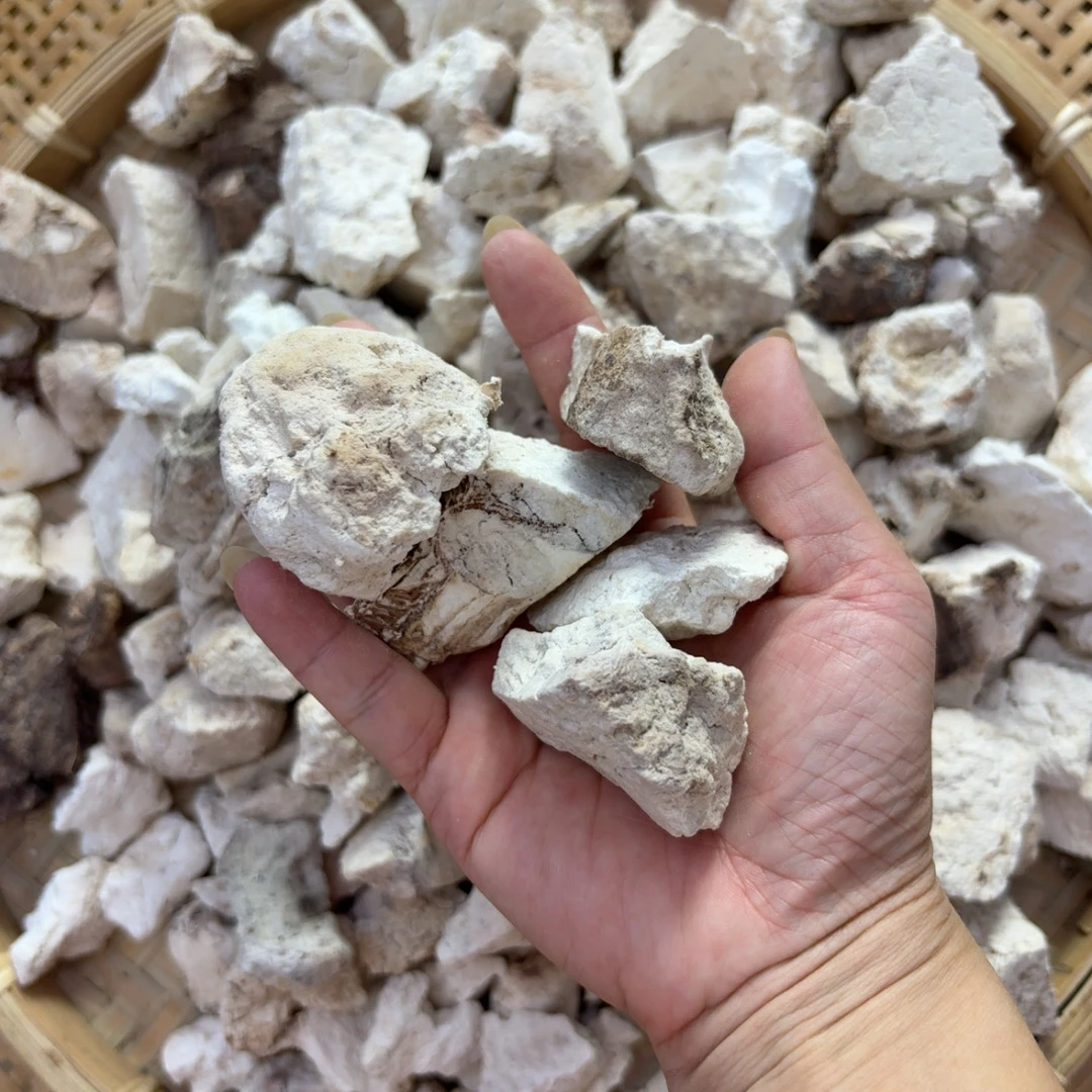 怀集野生伏苓薯~新鲜晒干