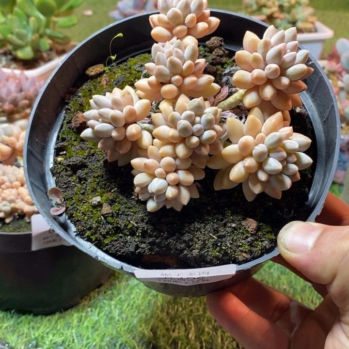 0406啊啊啊啊啊啊啊啊啊啊