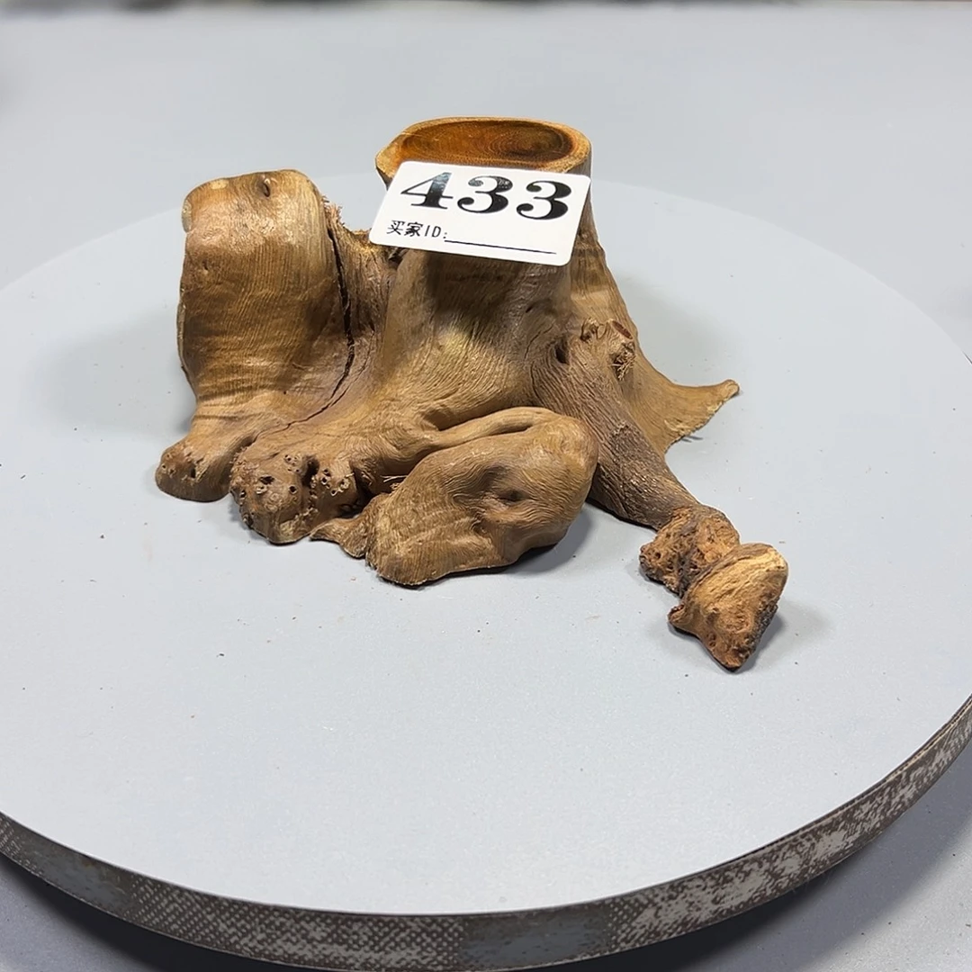 大果紫檀（缅甸花梨）纵****爱