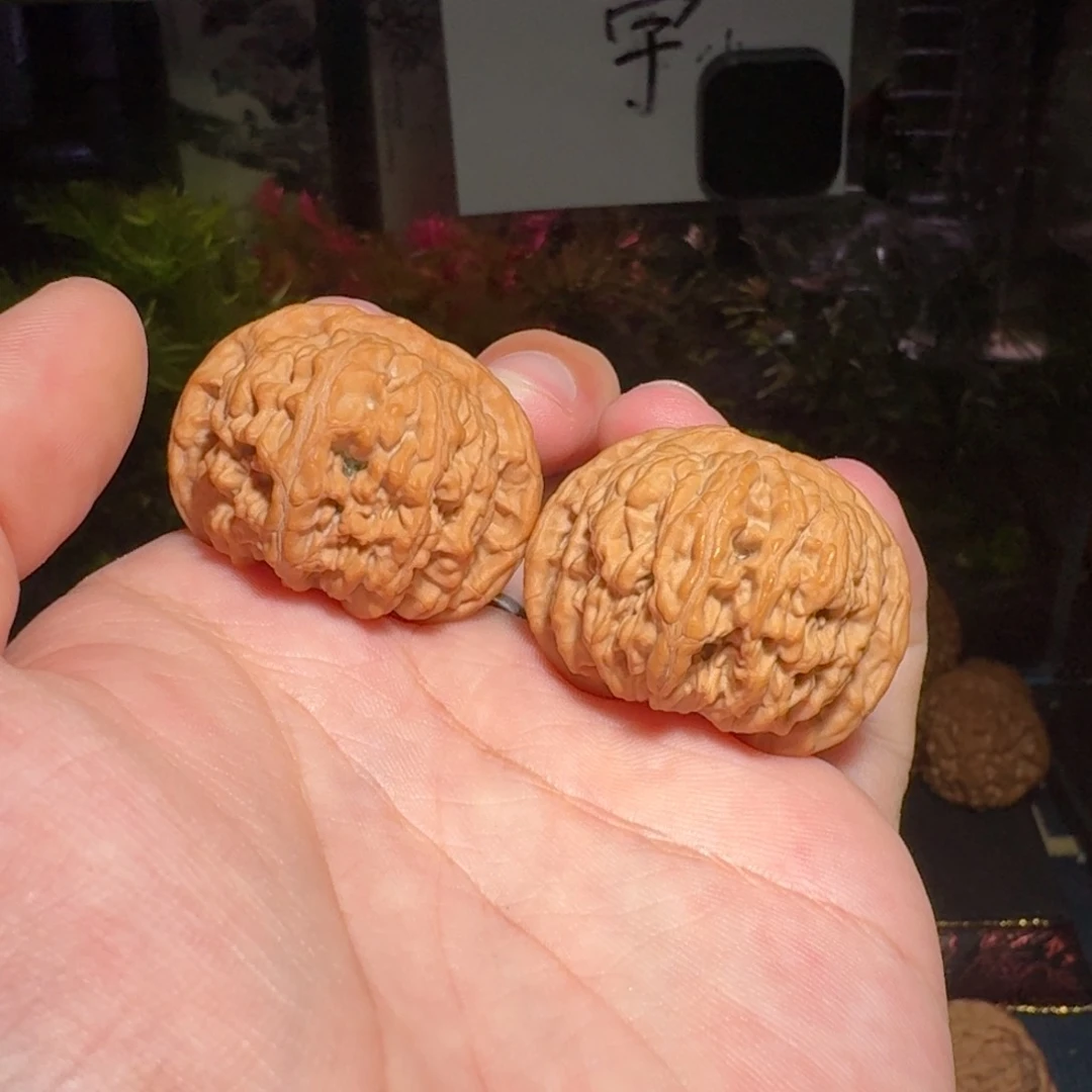 982号37京东第一矮文玩