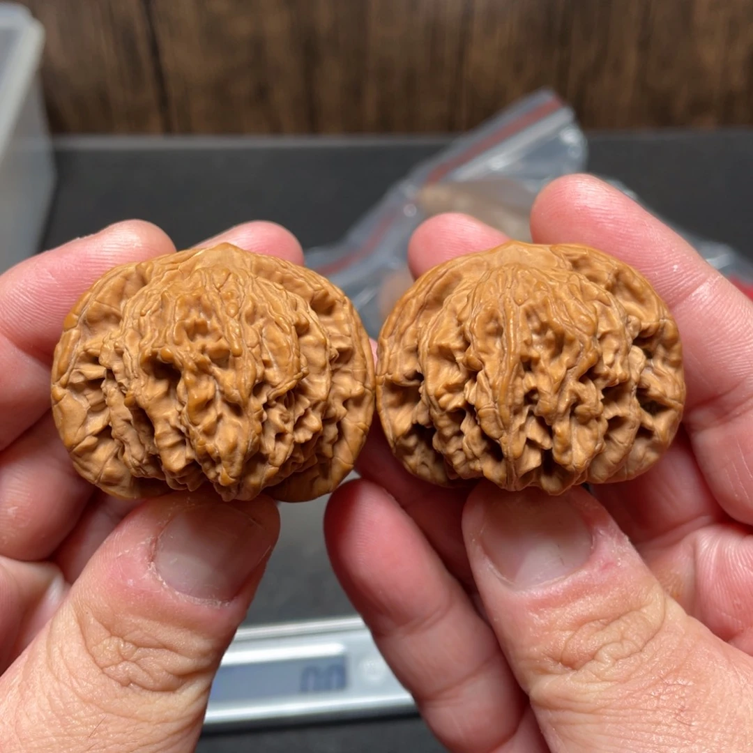 @****文玩核桃把件狮虎兽