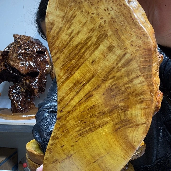 我****香杉干泡干泡干泡