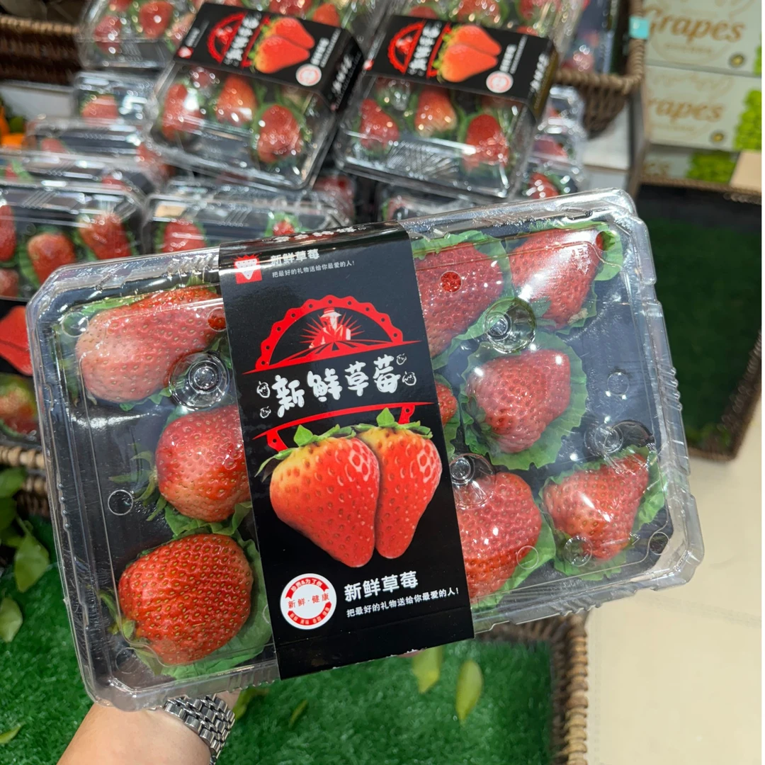 丹东新鲜草莓9.9元/盒约重750g