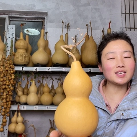 犟*肉天然植物葫芦文玩