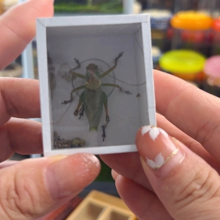 波***海哈哈麒麟扎嘴电报