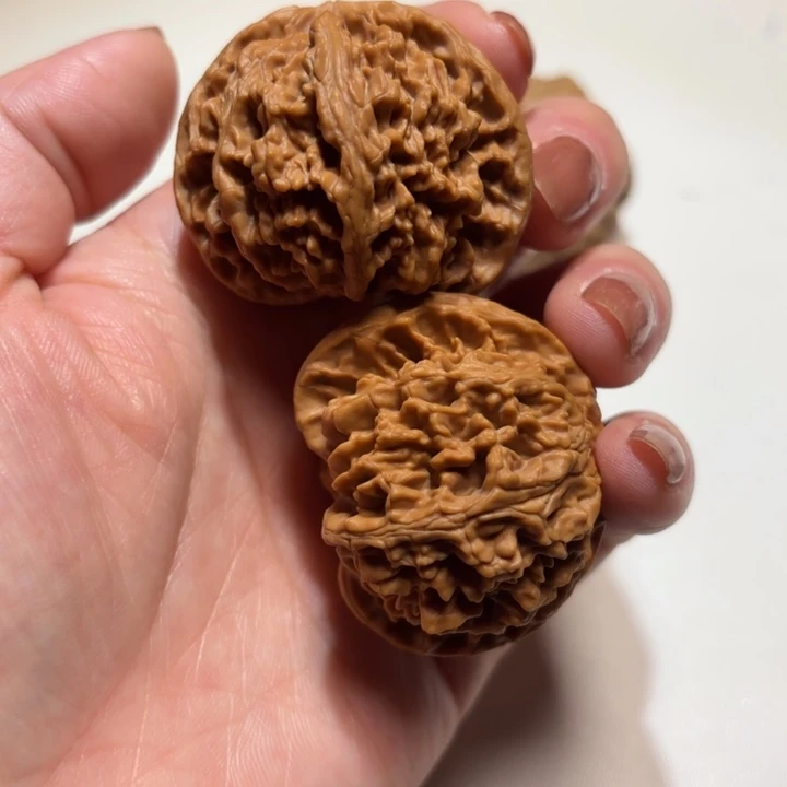 核桃41尺寸苹果园