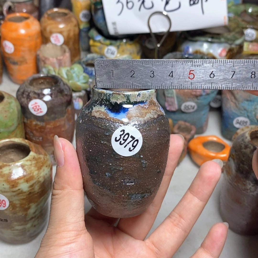 拍5送一个小礼物