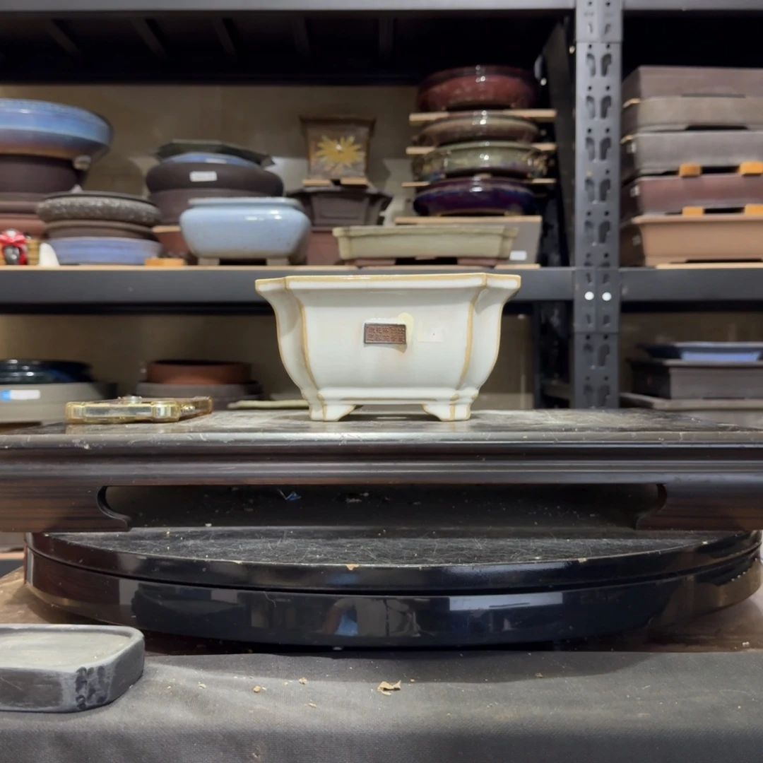 河****)v h g gv v v h