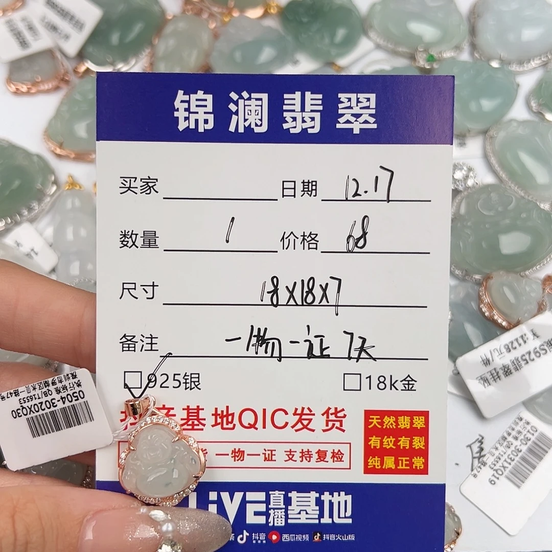 *****翡翠银S925镶嵌颈饰