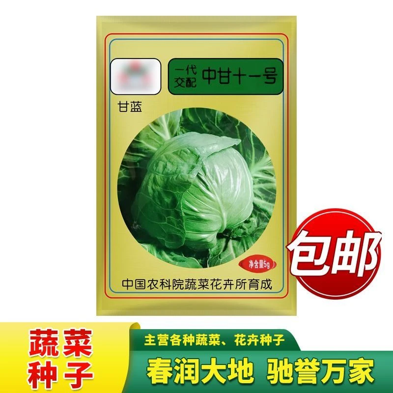 中甘十一甘蓝种子杂交卷心菜圆球洋白菜大头菜蔬菜种子