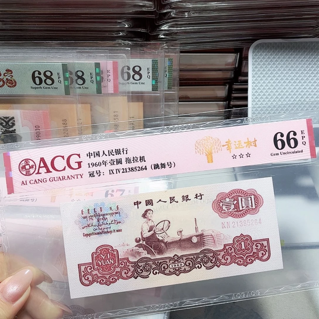 21385264。。。。幸运树