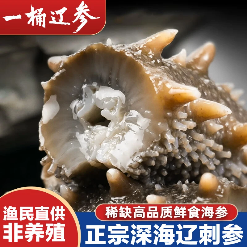 海金尊【新店专属】即食海参 工厂直发 15-18头一斤 大连皮口参500g