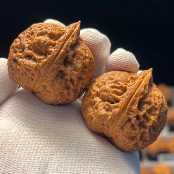 45尺寸树头乾坤球-精品云南铁核桃天然文玩手把件一物一图产地