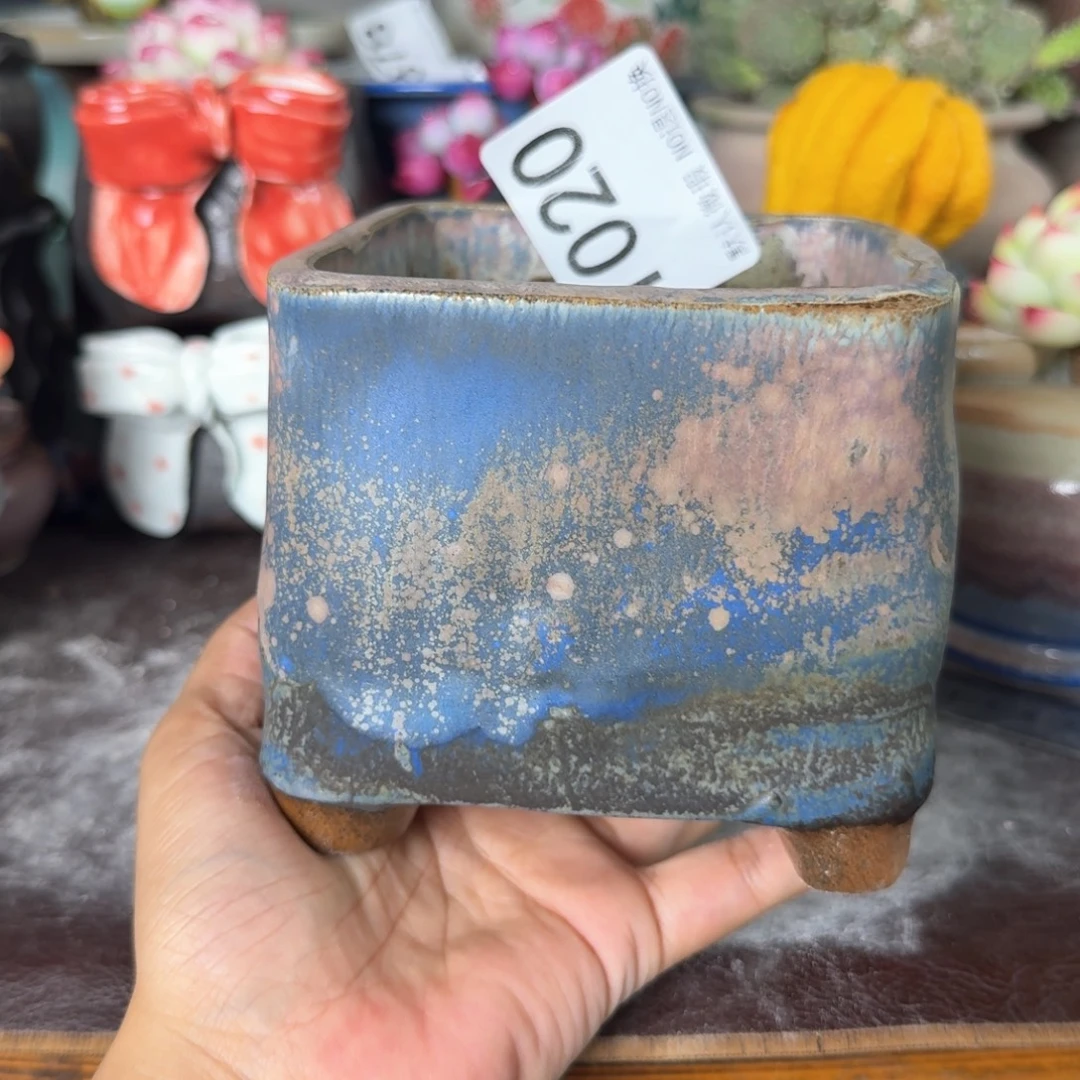 重庆小燕子欢迎大家020