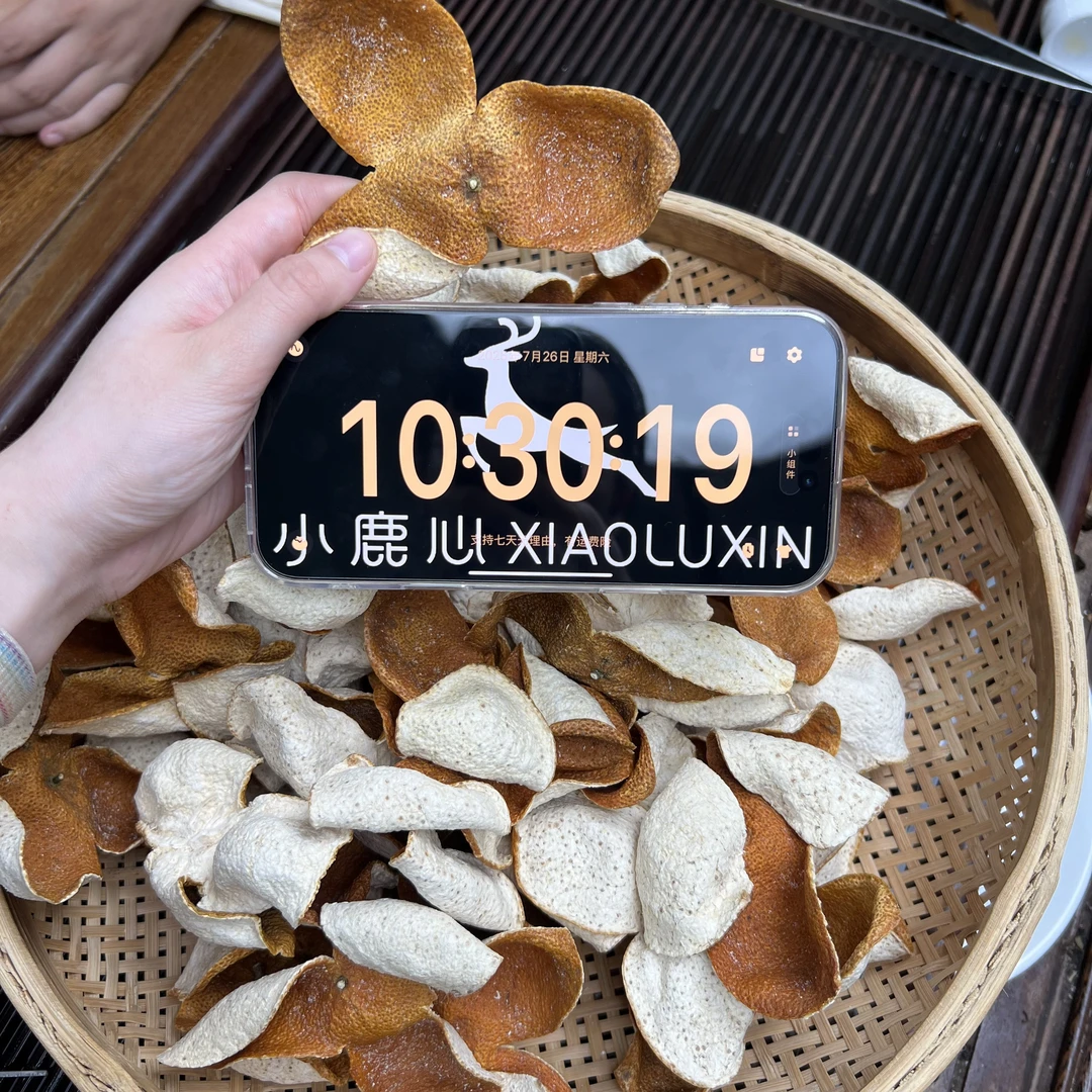 2024新会梅江圈枝大红新皮 ①小鹿收茶  新会新皮 7月26