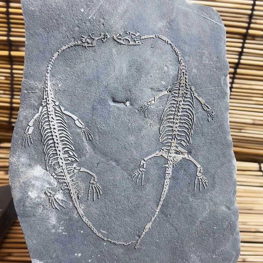 王***柏石材贵州沉积岩石头摆件