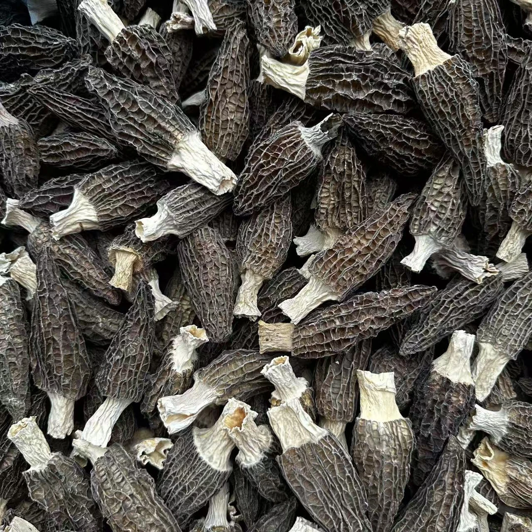 【羊肚菌】羊肚菌头茬厚肉5-8  250g