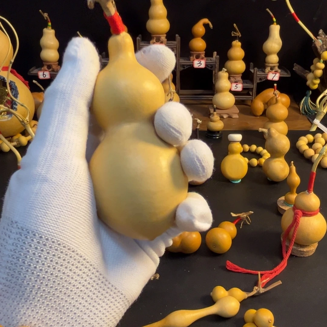 来***了二代蚂蚁粗腰葫芦