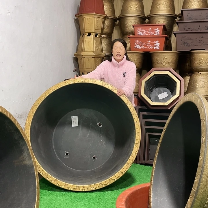 圆盆古铜一米二一个