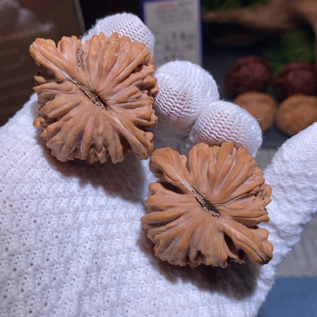 *****43尺 全品无修白茬25头茬 四座楼