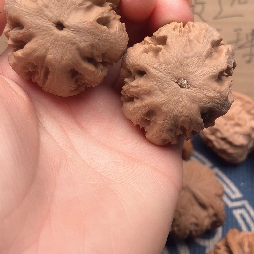 文玩核桃吊坠39霸王龙