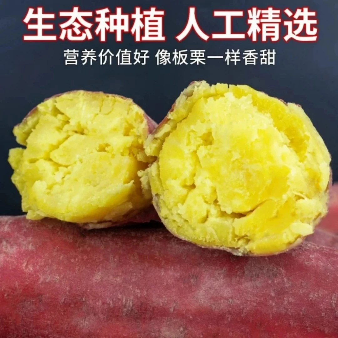 d新鲜现挖现发正宗板栗红薯番薯粉面糯干香甜地瓜营养丰富