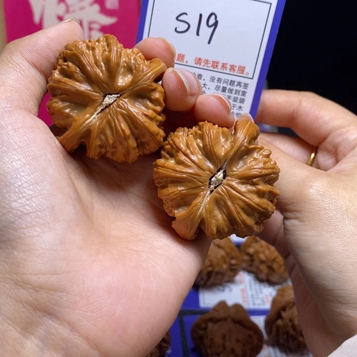 乡***选文玩核桃吊坠44白狮子s19