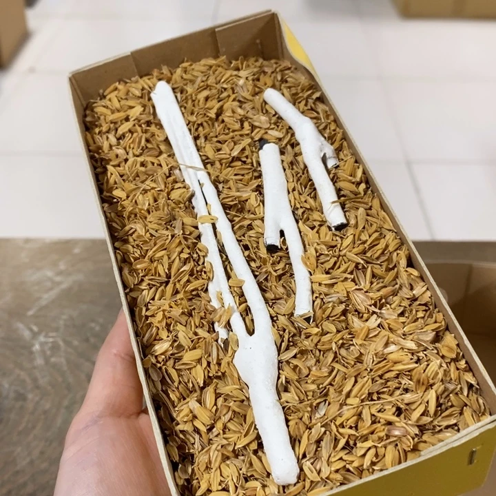 哈哈哈哈哈哈哈哈哈哈哈哈哈哈