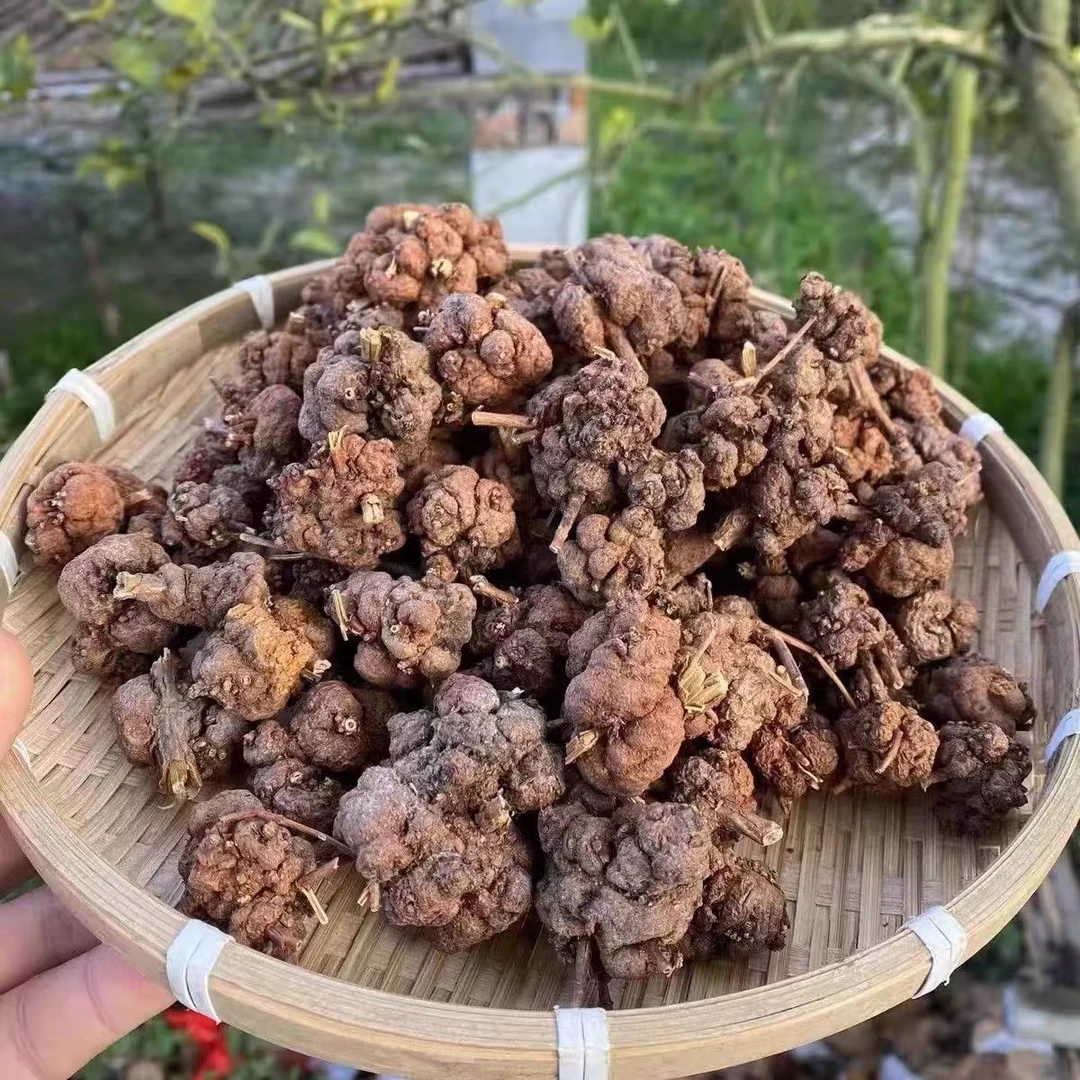 高海拔 消（肖）留果 清留果 消留藤 100-1000克 云南山货土特产