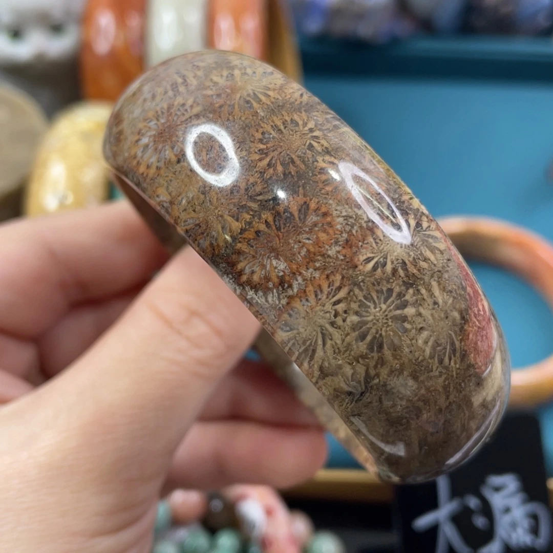 未镶嵌手镯硅化玉