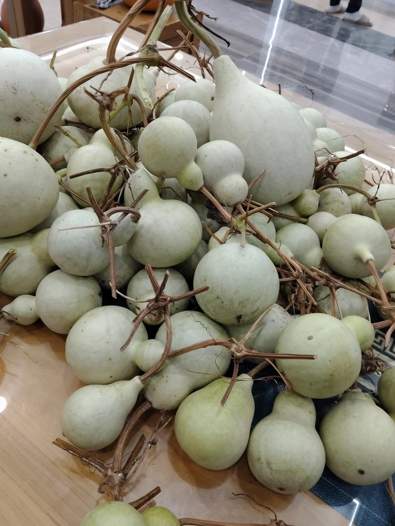 天然青皮小葫芦手把件天津嘴八宝造型随机发货
