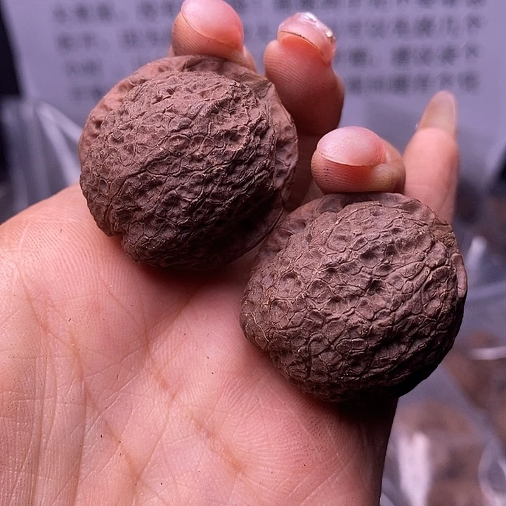 核桃云南野生铁核桃185号33mm