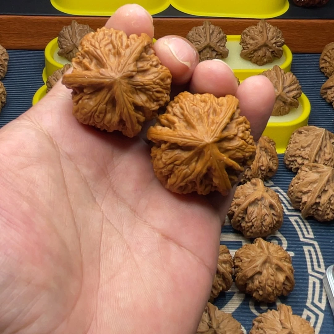 手串/手链核桃玉龙粗筋40尺