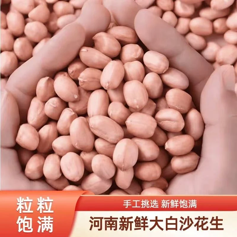 2025新上市大颗粒白沙花生米