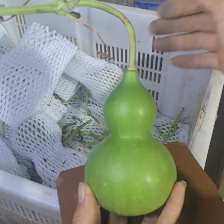 现***实木葫芦摆件家庭摆件
