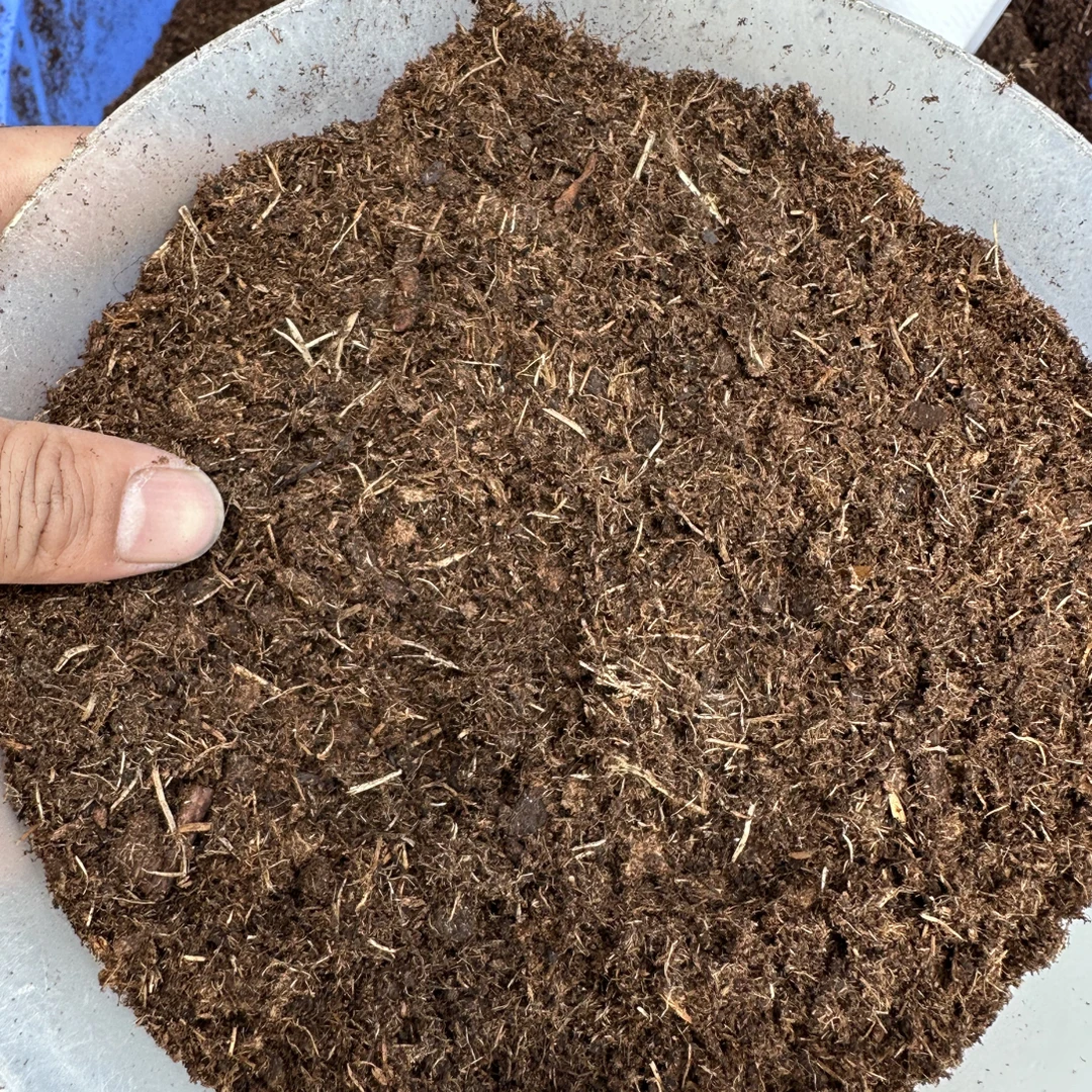 品氏过筛泥炭育苗种菜养草花